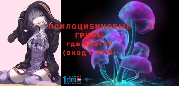 твердый Алексеевка