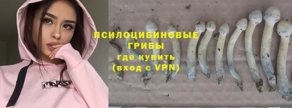 твердый Алексеевка