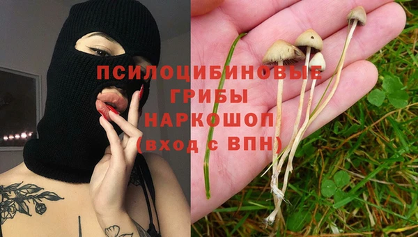 твердый Алексеевка