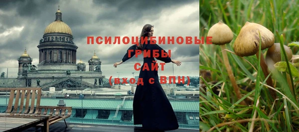 apvp Алексин