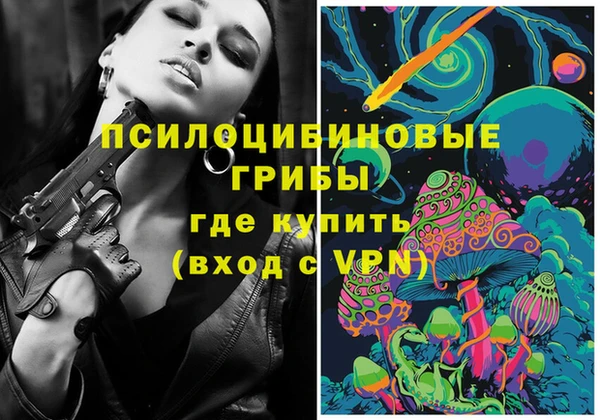 apvp Алексин