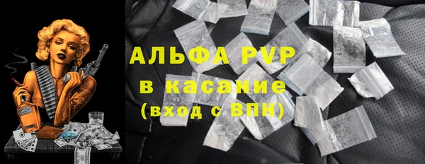 ГАЛЛЮЦИНОГЕННЫЕ ГРИБЫ Абаза