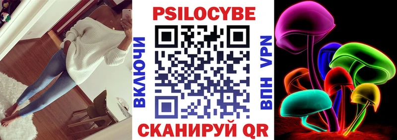 KRAKEN как войти  Кирсанов  Псилоцибиновые грибы мицелий 